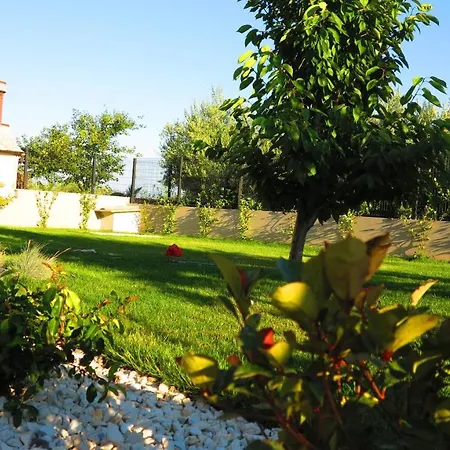 アパート Casari & *