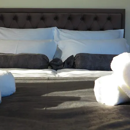 Casari & アパート